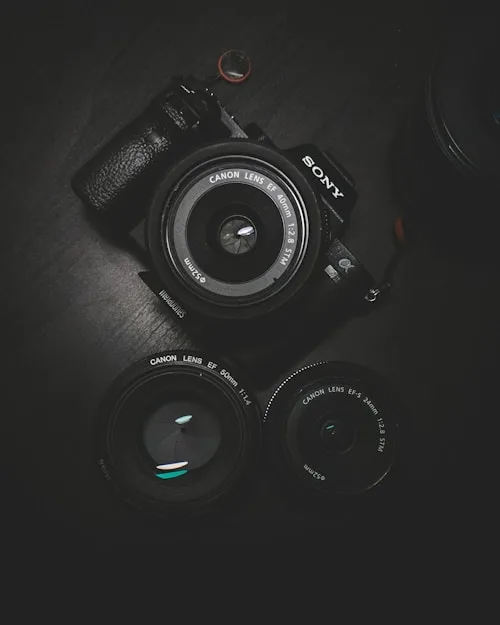 Photography Blog - 凯旋娱乐2